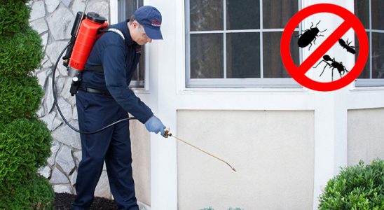 Aydın Hamam Böceği İlaçlama böcek ilaçlama ve haşere kontrolü — ilaclama-tr.com